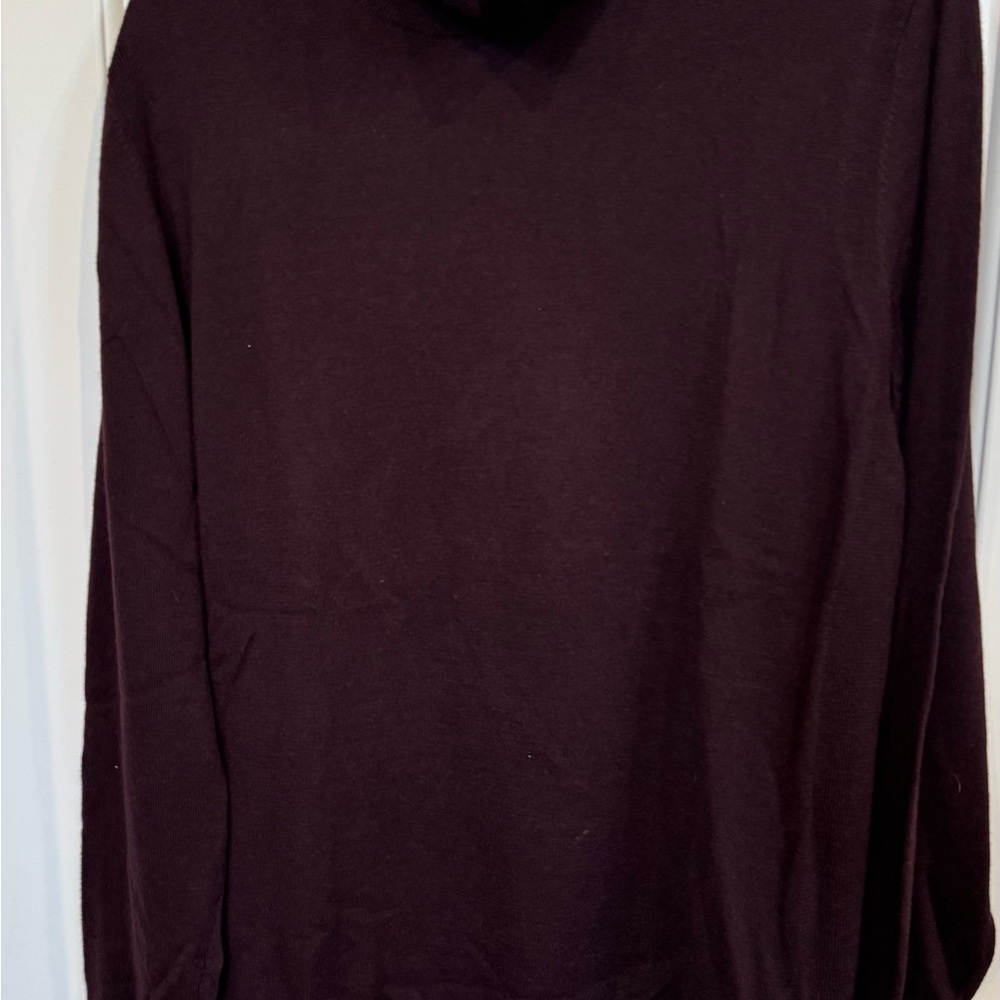 New with tags XL EXPRESS merino wool turtle neck